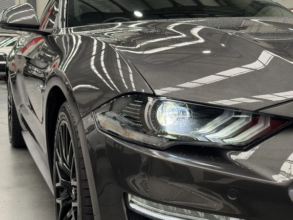 2019 Ford Mustang GT FN RWD Automatic